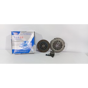 Nunc congue dui nec...