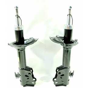 Nunc congue dui nec...