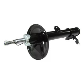 Nunc congue dui nec...