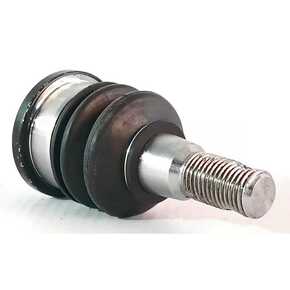 Nunc congue dui nec...