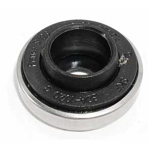 Nunc congue dui nec...