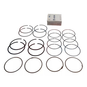 Nunc congue dui nec...