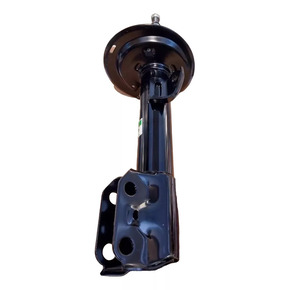 Nunc congue dui nec...