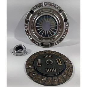 Nunc congue dui nec...