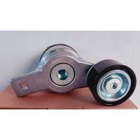 Nunc congue dui nec...