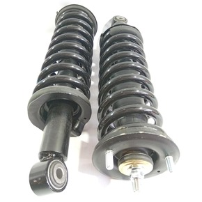 Nunc congue dui nec...