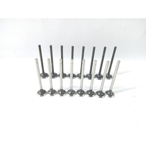 Nunc congue dui nec...