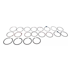 Nunc congue dui nec...