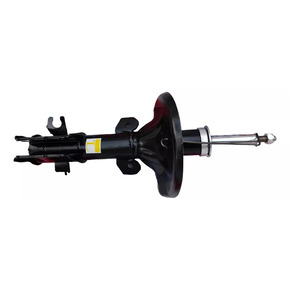 Nunc congue dui nec...