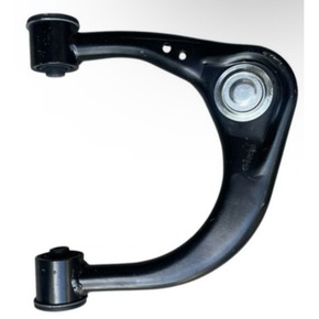 Nunc congue dui nec...