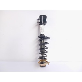 Nunc congue dui nec...