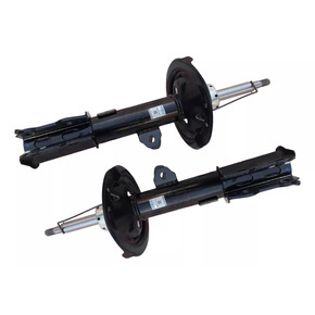 Nunc congue dui nec...