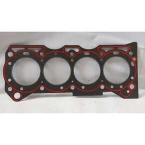 Nunc congue dui nec...