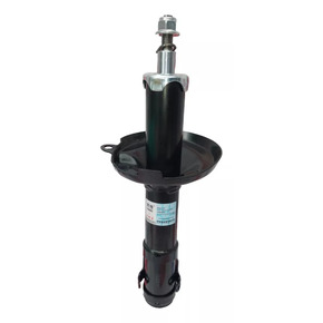 Nunc congue dui nec...