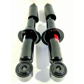 Nunc congue dui nec...