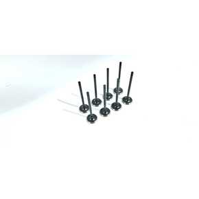 Nunc congue dui nec...