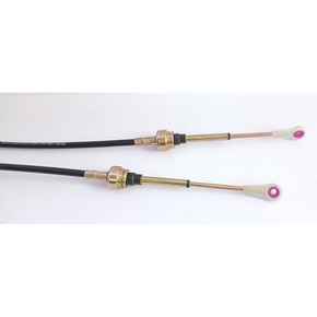 Nunc congue dui nec...