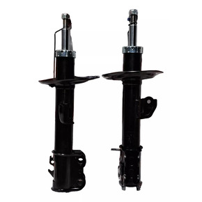 Nunc congue dui nec...