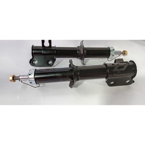 Nunc congue dui nec...