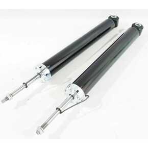 Nunc congue dui nec...