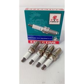 Nunc congue dui nec...