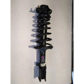 Nunc congue dui nec...